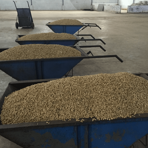 Sumatra Mutu Batak - Klatch Coffee Roasting