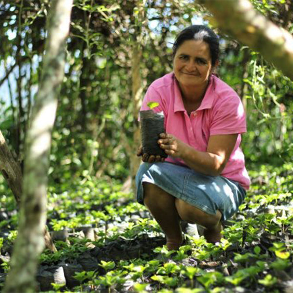 Organic Honduras Manos De mujer Fair Trade- Maria_Perez-producer